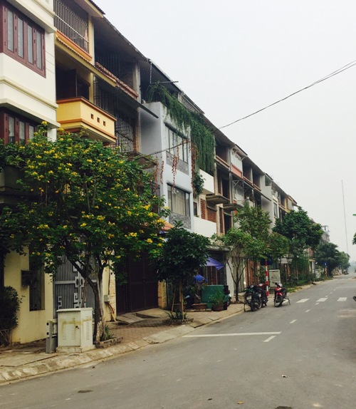 HTX KD-DV Tổng Hợp Yên Xá-Tân Triều: Đầu tư nâng cao chất lượng