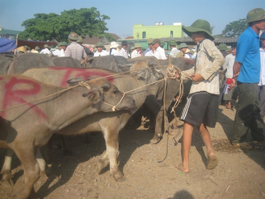 Phu gạch tuổi…lên 10