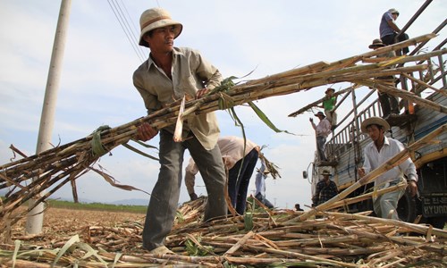 Cộng đồng kinh tế ASEAN: Đã đến lúc Việt Nam chấm dứt bảo hộ