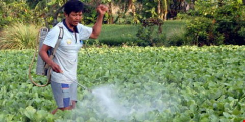 Báo động thiết bị bảo hộ... 