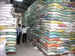 Định mức chi phí xuất, nhập giống lúa, ngô dự trữ quốc gia