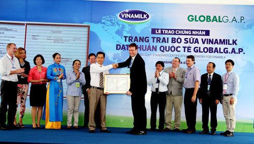 Trang trại bò sữa đầu tiên được Global G.A.P chứng nhận đạt tiêu chuẩn quốc tế